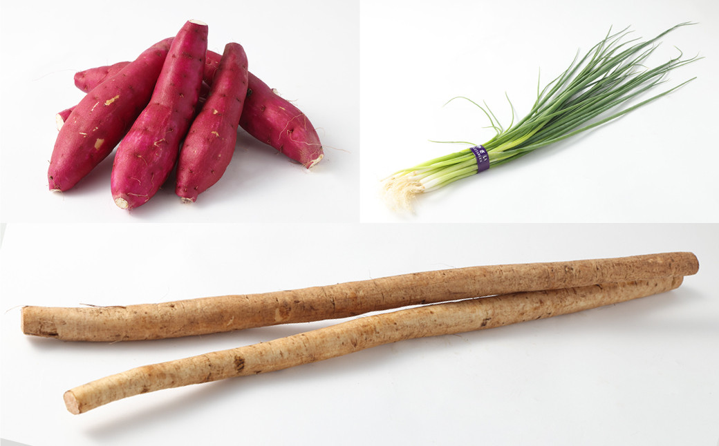 熊本県産 野菜 の 詰め合わせ 8品以上