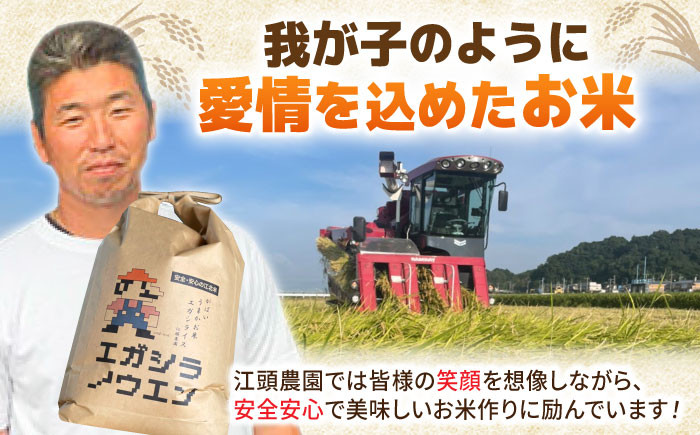 【全12回定期便】がばいうまか エガシライス ( 夢しずく ) 玄米 10kg ( 5kg×2袋 ) 