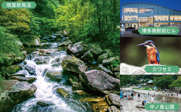  鶏肉 肉 胸肉 むね肉 もも もも肉 鶏もも肉 