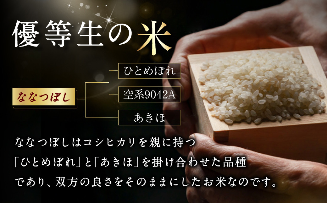 北海道産 ななつぼし 20kg 五つ星お米マイスター監修(深川産)