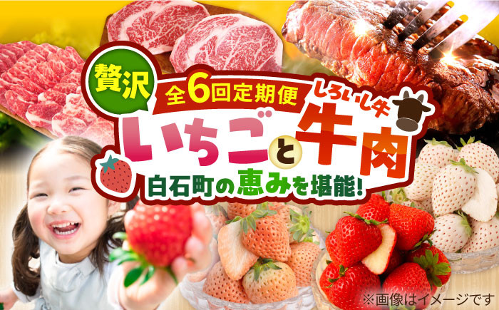2月配送開始！イチゴとお肉の贅沢定期便