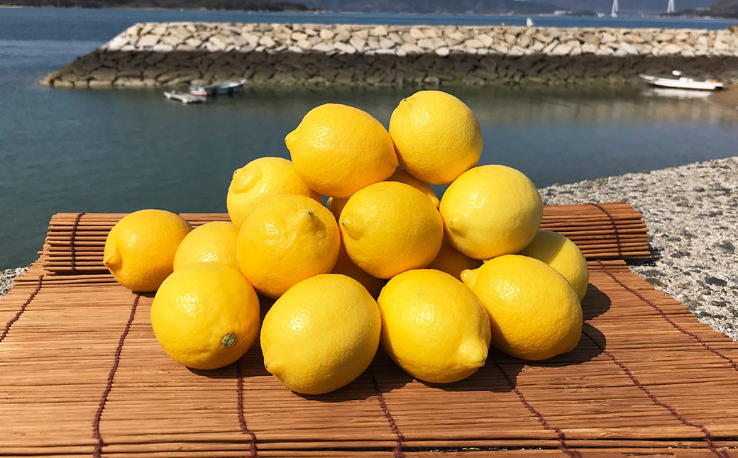 選べる発送月 青いレモンの島 レモン 約3kg 檸檬 れもん 柑橘 かんきつ【えひめの町（超）推し！（上島町）】（738）