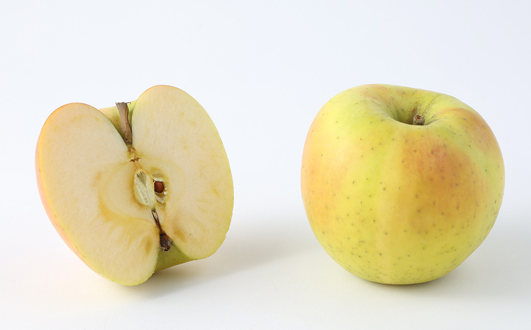 二戸産りんご ぐんま名月 約5kg