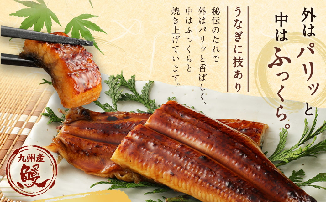 【12ヶ月定期便】鰻天屋 九州産うなぎ 蒲焼 約140g×2尾 セット