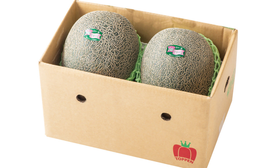 熊本県産 肥後グリーンメロン 2玉