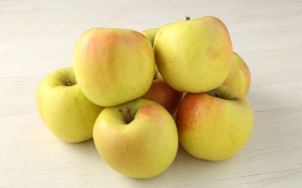 二戸産りんご ぐんま名月 約10kg