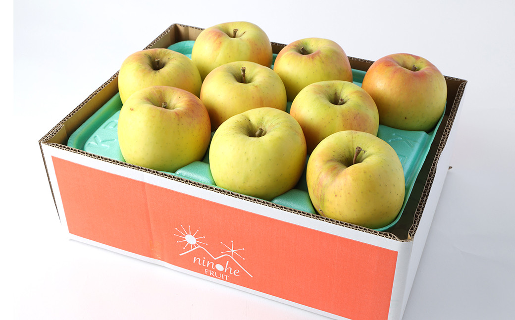 二戸産りんご ぐんま名月 約5kg