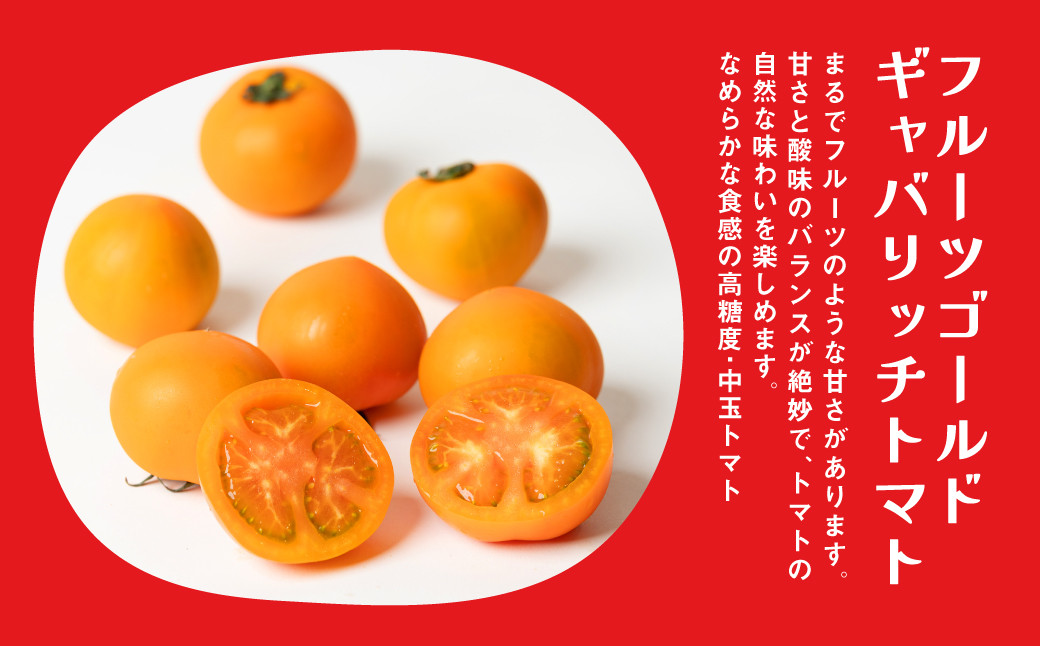 1月~3月:フルーツゴールドギャバリッチトマト