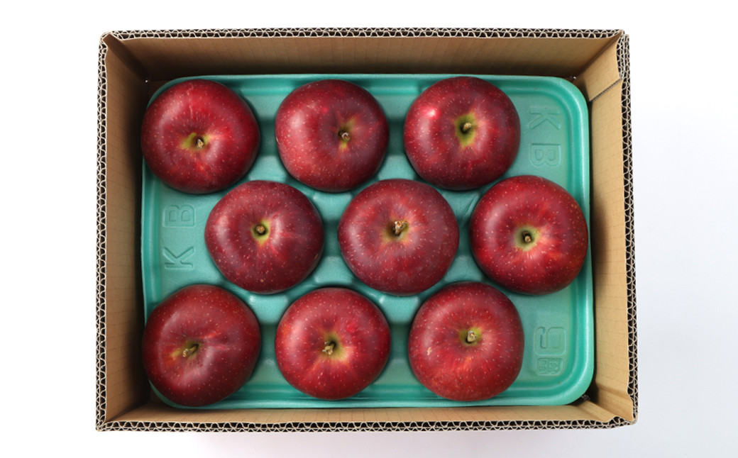 二戸産りんご　紅いわて 約5kg