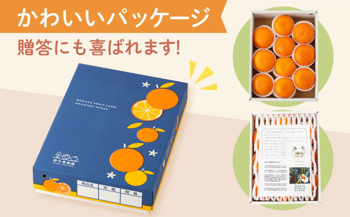みかん ミカン 柑橘 せとか セトカ 果物 くだもの フルーツ 3kg 高級 長崎 贈答 ギフト 野中果樹園 せとか