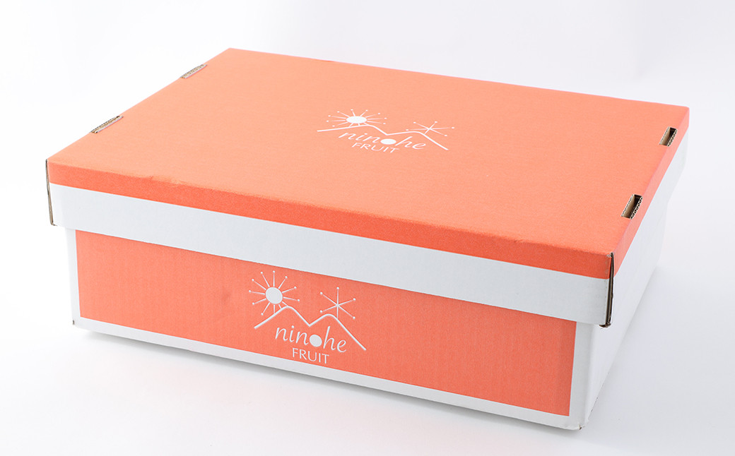 二戸産りんご 紅いわて 約10kg