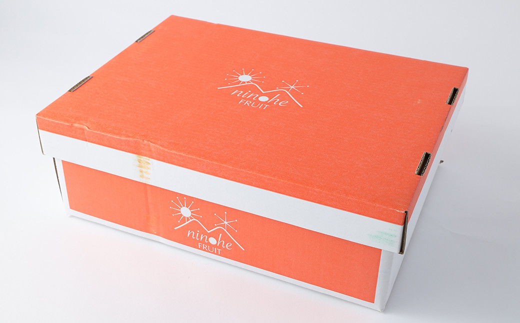 二戸産りんご ぐんま名月 約5kg