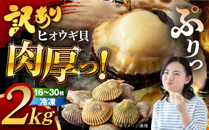 訳アリ 訳あり ヒオウギ貝 貝 魚貝類 海産物 長崎 キャンプ BBQ バーベキュー 酒蒸し 海の幸 ほたて ホタテ 2枚貝