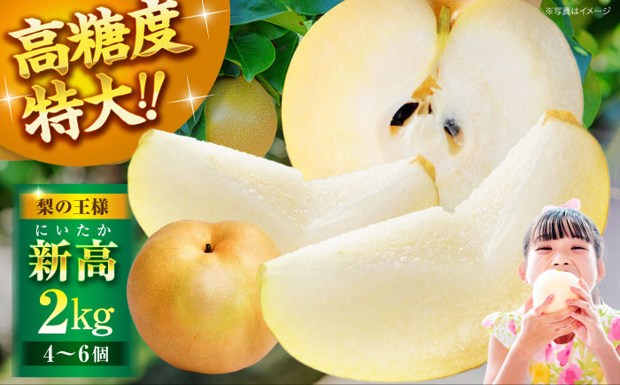 食品 果物 フルーツ おやつ デザート 梨 なし ナシ 新高 ジュース スムージー  贈答品 ギフト プレゼント