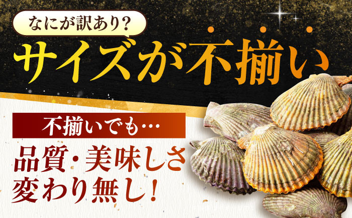 訳アリ 訳あり ヒオウギ貝 貝 魚貝類 海産物 長崎 キャンプ BBQ バーベキュー 酒蒸し 海の幸 ほたて ホタテ 2枚貝