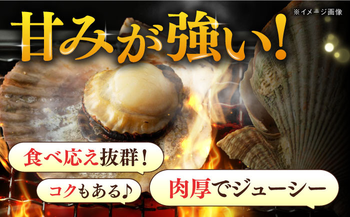 訳アリ 訳あり ヒオウギ貝 貝 魚貝類 海産物 長崎 キャンプ BBQ バーベキュー 酒蒸し 海の幸 ほたて ホタテ 2枚貝