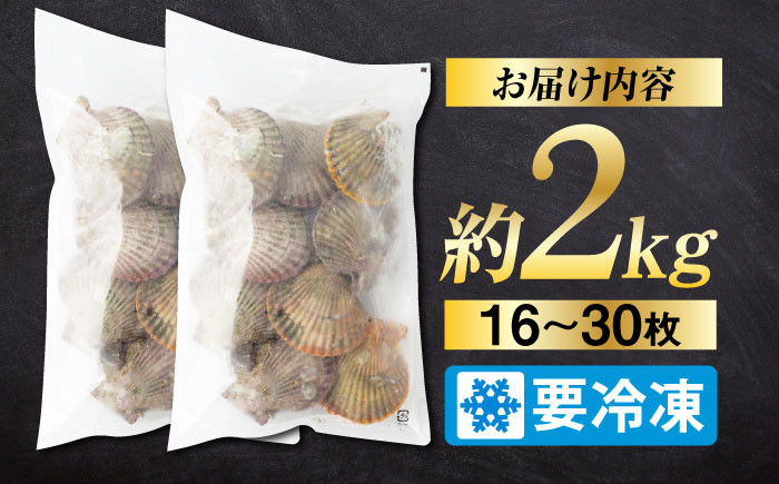 訳アリ 訳あり ヒオウギ貝 貝 魚貝類 海産物 長崎 キャンプ BBQ バーベキュー 酒蒸し 海の幸 ほたて ホタテ 2枚貝