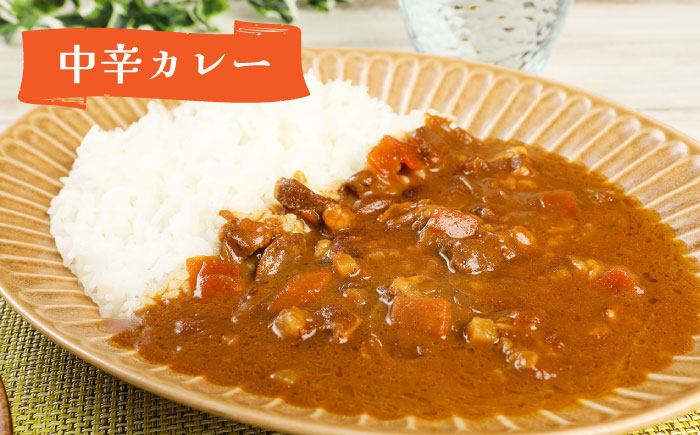 カレー 航空自衛隊 築上基地 牛すじカレー 中辛 レトルト 個包装 国産 