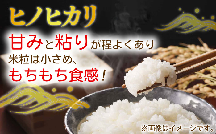  米 5kg ヒノヒカリ 米 5kg ひのひかり 米 5kg 人気No1 米 5kg ベテラン 米 5kg 米作り 米 5kg