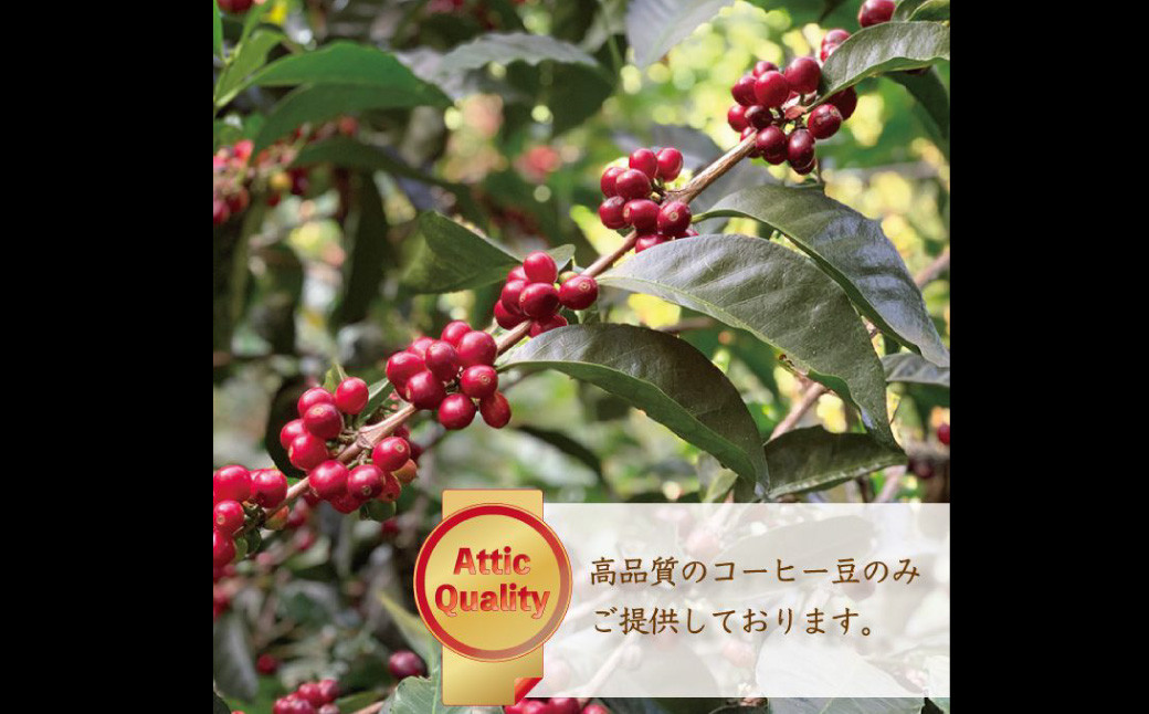 カフェオレベース 2本セット計1440ml ( 720ml×2本 )