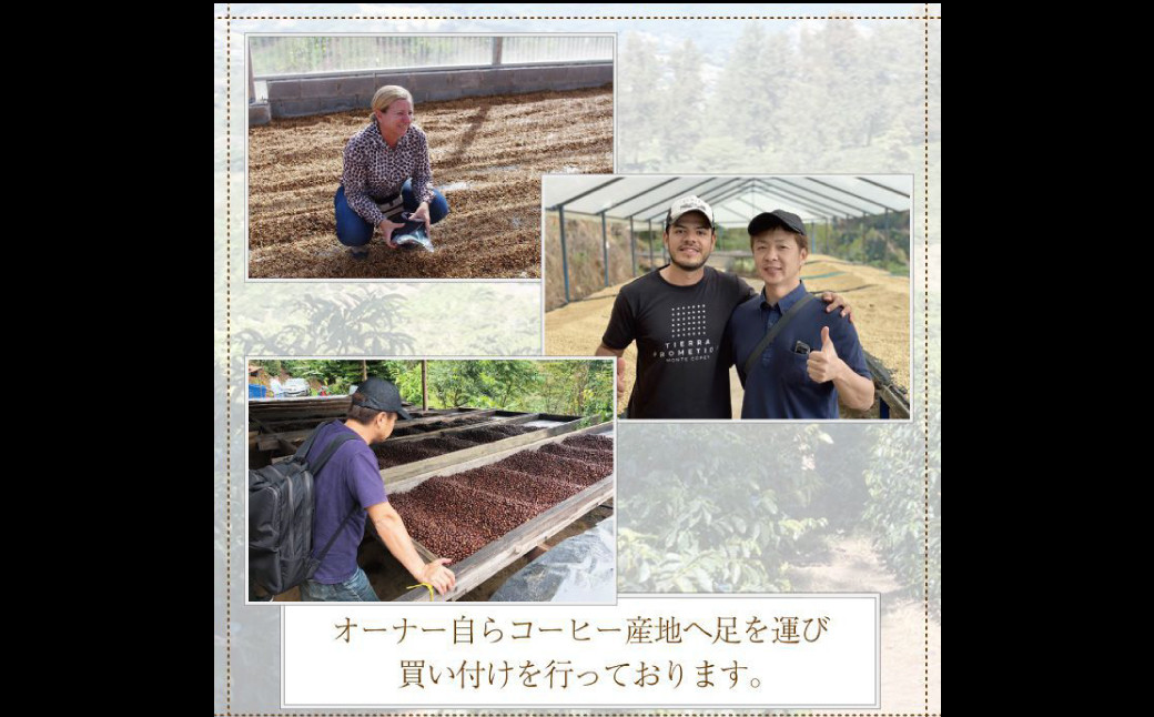 カフェオレベース12本セット (720ml×12本)