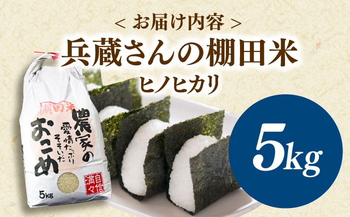  米 5kg ヒノヒカリ 米 5kg ひのひかり 米 5kg 人気No1 米 5kg ベテラン 米 5kg 米作り 米 5kg