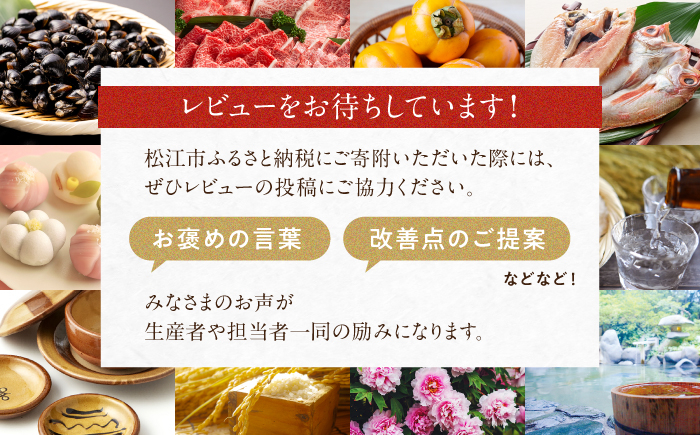 茶碗 抹茶碗 お茶碗 湯呑 普段使い おしゃれ 工芸品 島根 松江 おすすめ