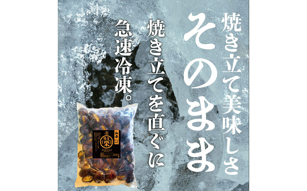 【定期便6ヵ月】無添加和栗専門店 美むらの和栗 焼き栗 500g