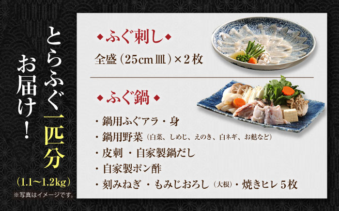 【泳ぐ・とらふぐ】 ふぐ刺・ふぐ鍋セット 3〜4人前（刺身・鍋用） [HAB001]