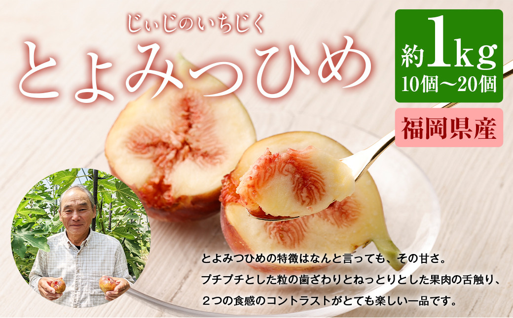 じぃじの いちじく【とよみつひめ】約1kg