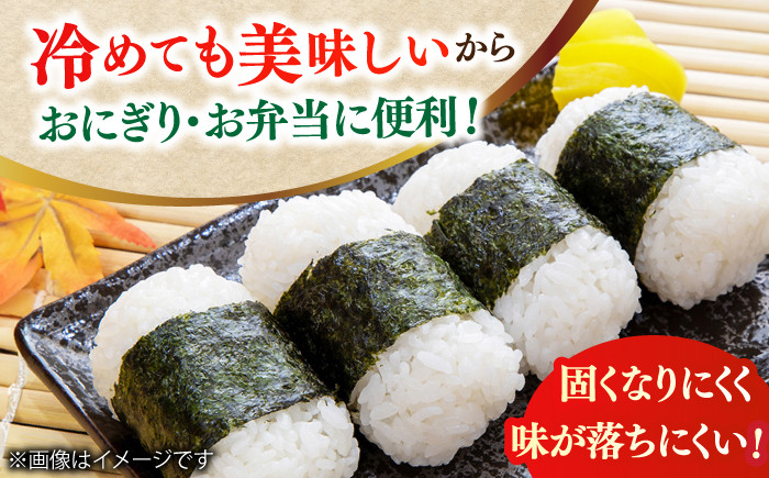 米 こめ コメ お米 白米 精米