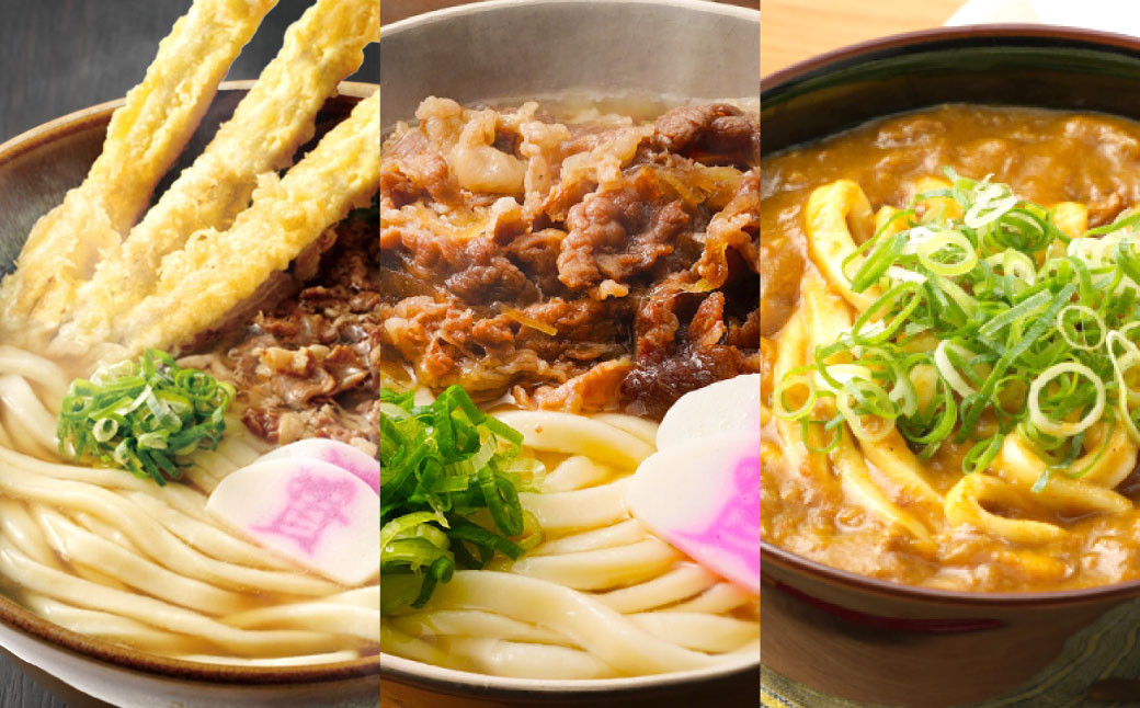 資さん 食べ比べセット（肉ごぼ天うどん・肉うどん・カレーうどん）各3人前