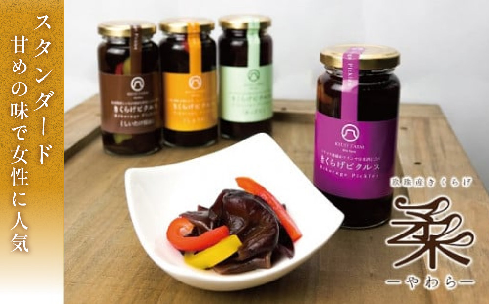 黄：しょうが・・・生姜の風味が食欲をそそります。