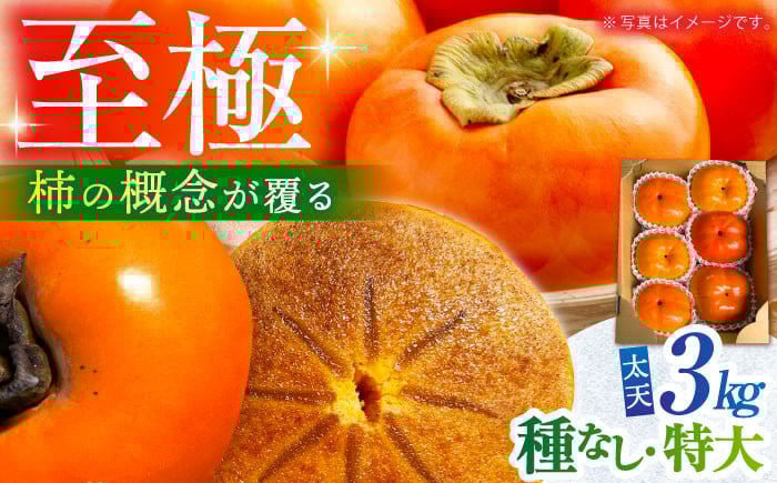 【11月〜12月上旬発送】種なし柿 太天・渋抜き柿　3kg【小林農園】 [HAX002] 柿 果物 フルーツ 佐賀県 江北町