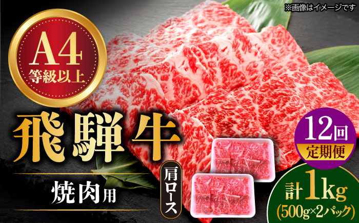 12回 定期便 飛騨牛 焼肉用 ロース / 肩ロース 1kg