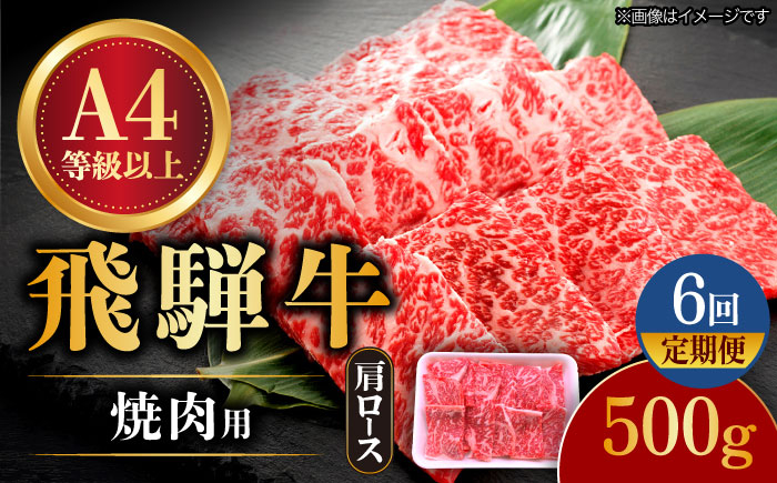 6回 定期便 飛騨牛 焼肉用 ロース / 肩ロース 500g