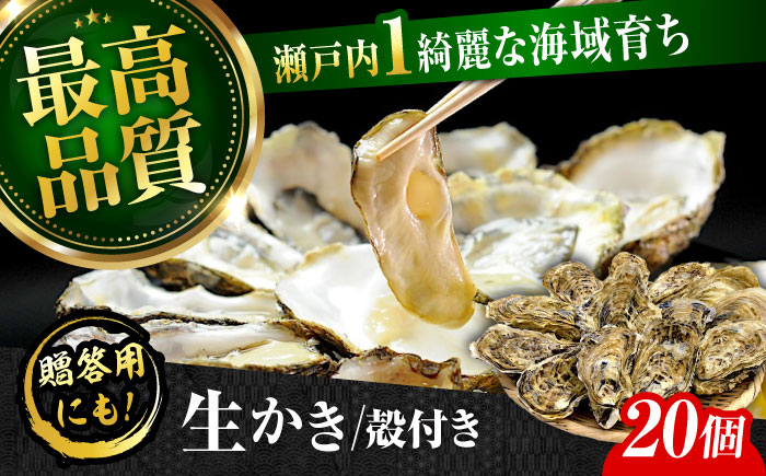 牡蠣 生食 むき身 殻付き かき カキ 生牡蠣 広島牡蠣 オイスター カキフライ 魚介類 貝類 海鮮 広島県産 国産 産地直送