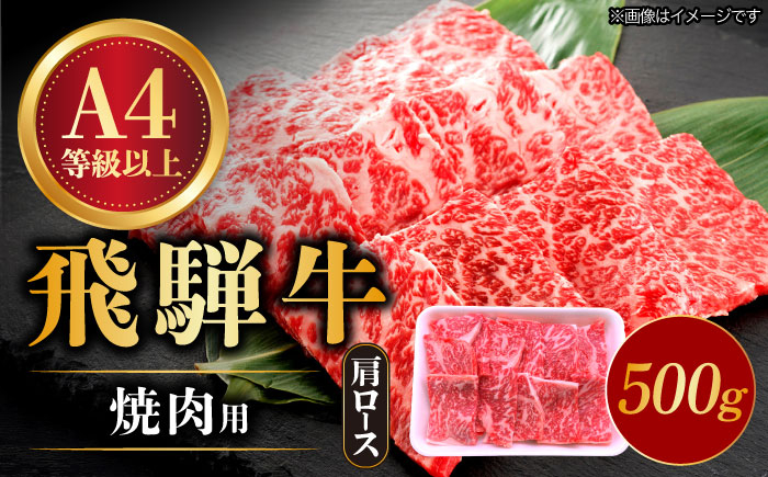 飛騨牛 焼肉用 ロース / 肩ロース 500g