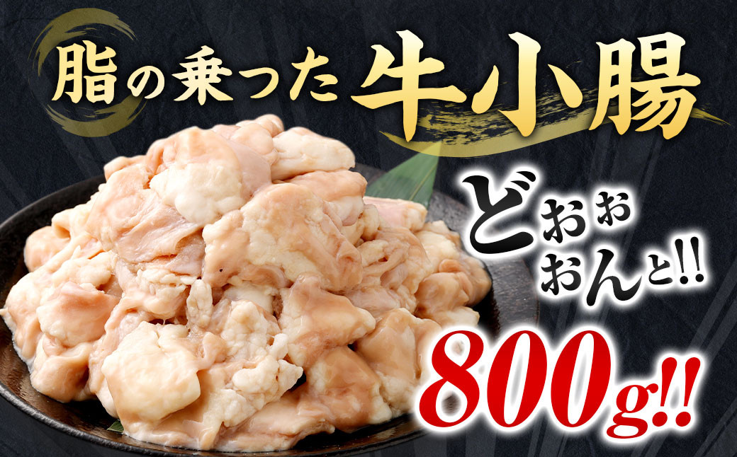 もつ鍋セット 8人前