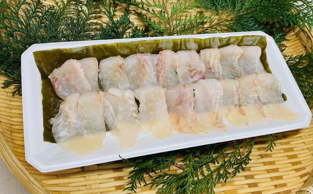 長崎の森で育てた『幻のクエ』昆布〆 刺身用  5~6人前(本体重量計約1kg)/ 魚 海鮮 魚介類 クエ  刺身 頭付き