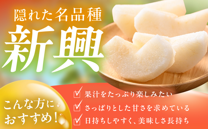 梨 なし 新興 果物 フルーツ