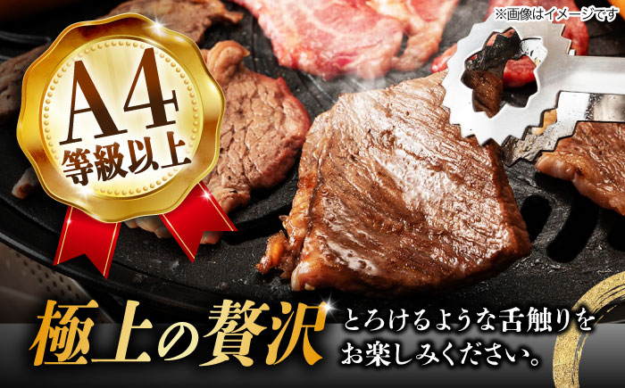 12回 定期便 飛騨牛 焼肉用 ロース / 肩ロース 1kg