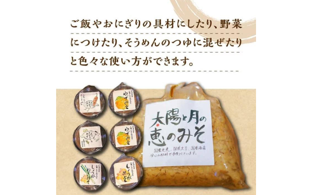 太陽と月の恵のみそ1個 (1kg) つけみそ6個 (ゆず しょうが しょうがねぎ とりそぼろ とりそぼろピリ辛)