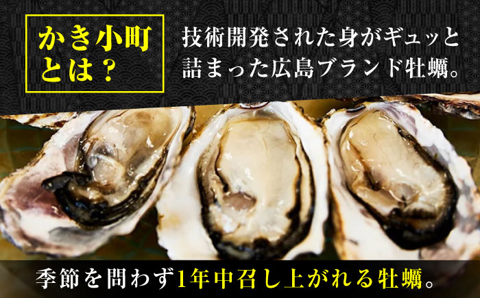 牡蠣 生食 むき身 殻付き かき カキ 生牡蠣 広島牡蠣 オイスター カキフライ 魚介類 貝類 海鮮 広島県産 国産 産地直送