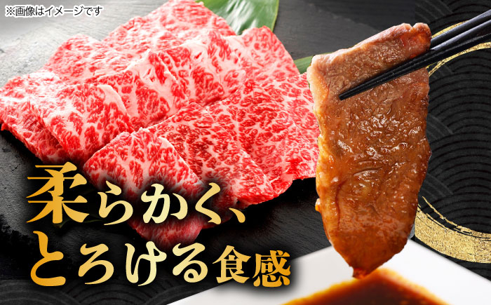 3回 定期便 飛騨牛 焼肉用 ロース / 肩ロース 500g
