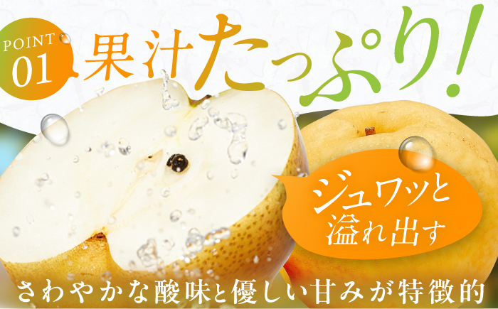 梨 なし 新興 果物 フルーツ