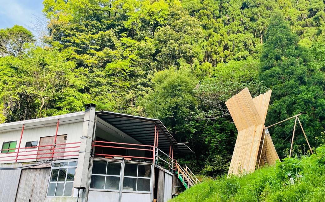 長崎の森で育てた『幻のクエ』昆布〆 刺身用  5~6人前(本体重量計約1kg)/ 魚 海鮮 魚介類 クエ  刺身 頭付き