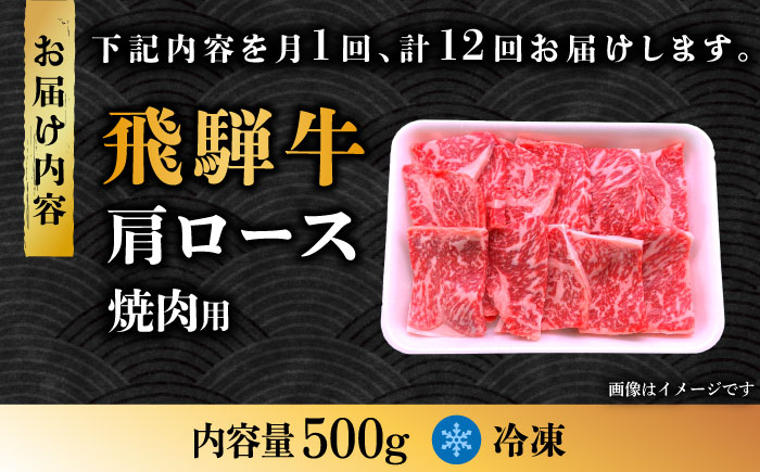 12回 定期便 飛騨牛 焼肉用 ロース / 肩ロース 500g