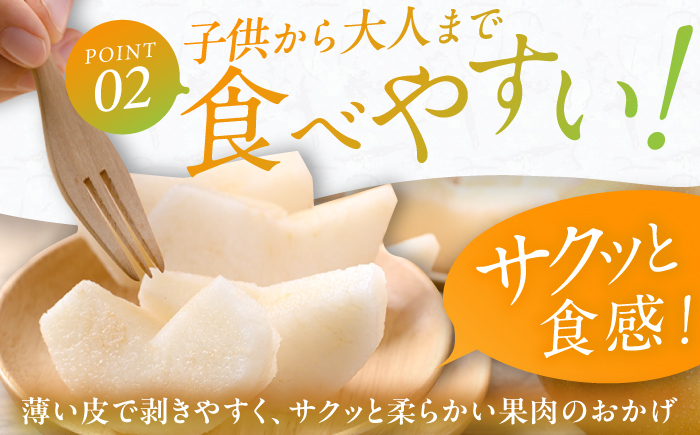 梨 なし 新興 果物 フルーツ