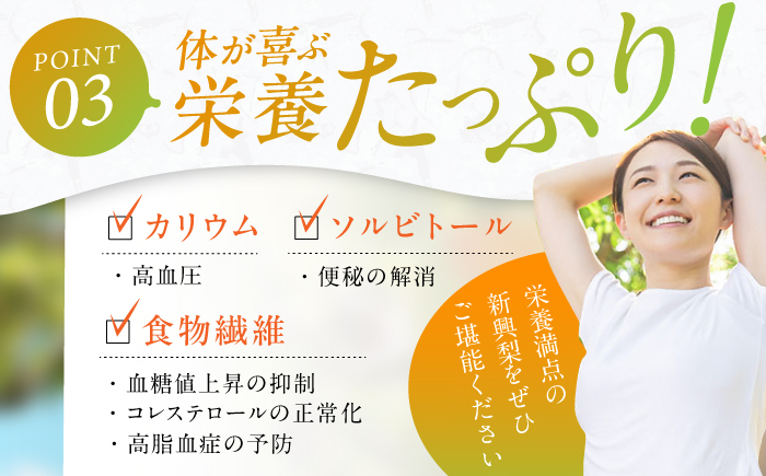 梨 なし 新興 果物 フルーツ